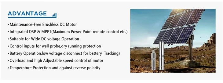 3DSD4-100-72-600 600w For Irrigation Solar Dc Power Deepwell Water Pump factory 3DSD4-100-72-600 600w For Irrigation Solar Dc Power Deepwell Water Pump factory